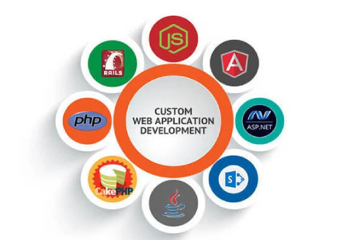 custom web application